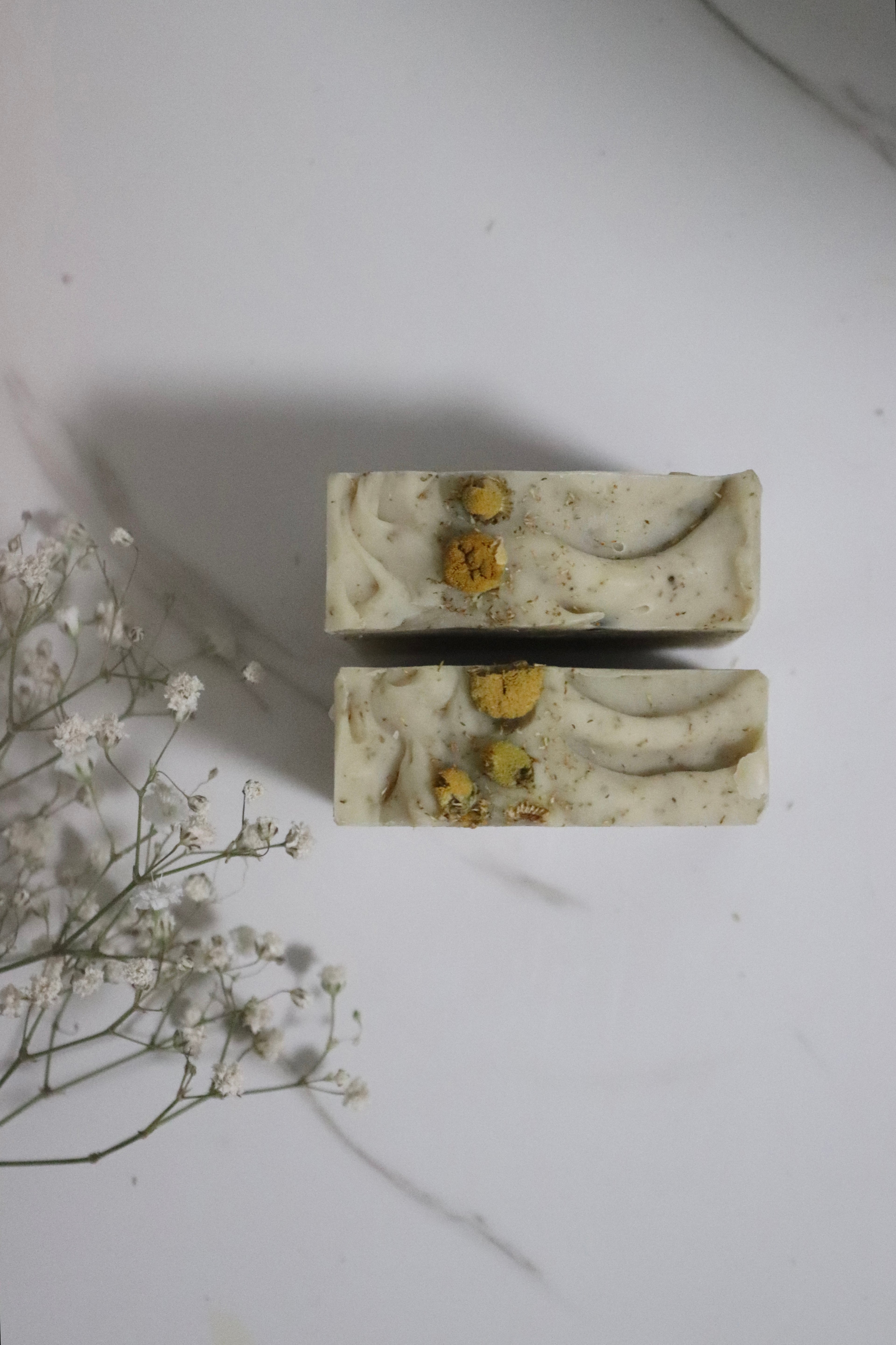 Velvet Chamomile